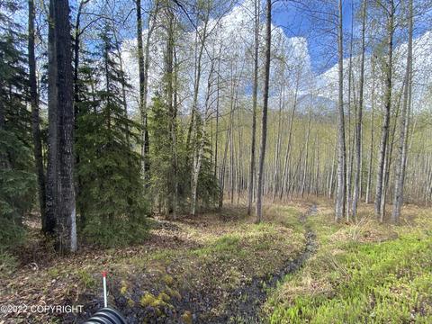 27141 Roop Rd, Eagle River, AK 99577 photo 62