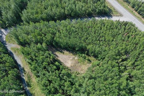 27141 Roop Rd, Eagle River, AK 99577 photo 88