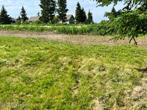 67493 Endless View Loop, Homer, AK 99603 photo 7