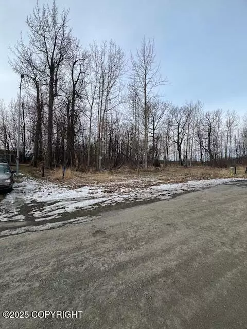 940 S Williwaw Dr, Palmer, AK 99645
