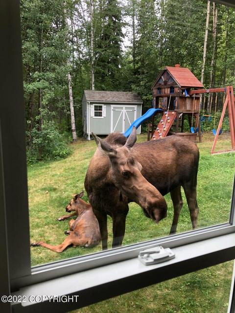 7015 Kulchay Cir, Eagle River, AK 99577 photo 8