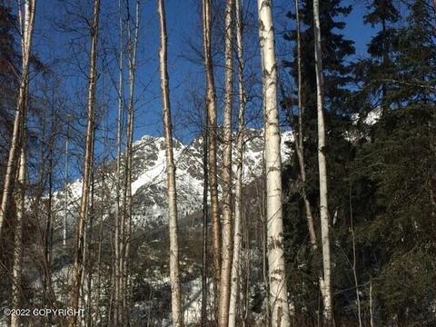 7015 Kulchay Cir, Eagle River, AK 99577 photo 12
