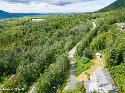 22031 Eagle River Rd, Eagle River, AK 99577 photo 96