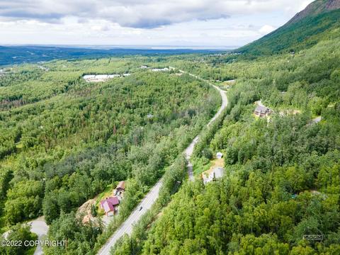 22031 Eagle River Rd, Eagle River, AK 99577 photo 94