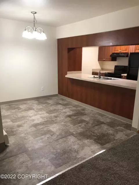 1019 E 12th Ave, Anchorage, AK 99501 photo 10