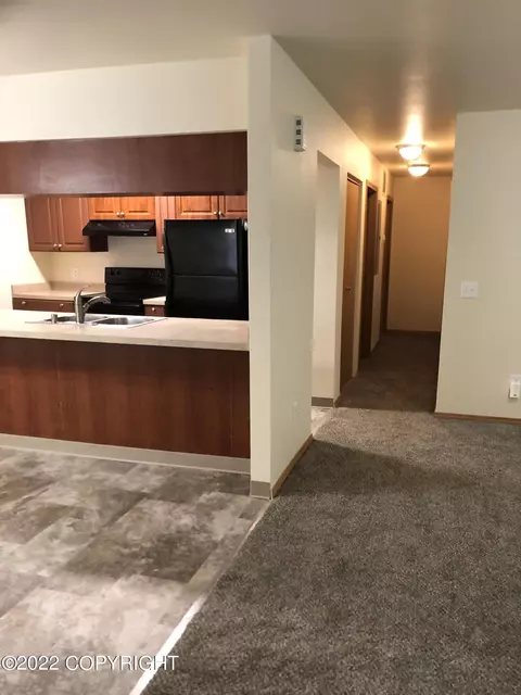 1019 E 12th Ave, Anchorage, AK 99501 photo 11
