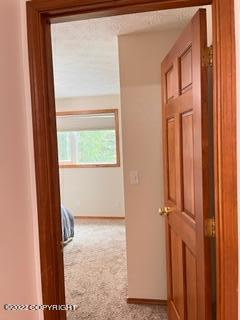 1940 Commodore Dr, Anchorage, AK 99507 photo 23