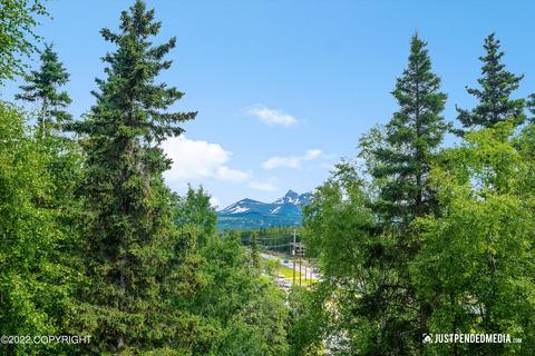 4545 Omalley Rd, Anchorage, AK 99516 photo 36