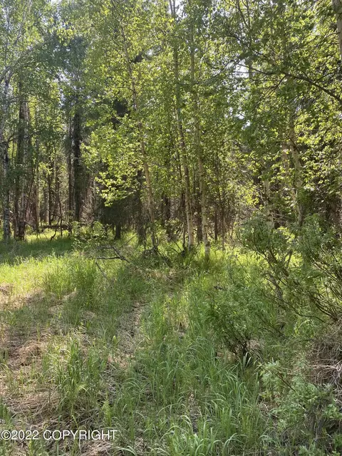 23064 W Willow Fishhook Rd, Willow, AK 99688 photo 2