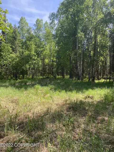 23064 W Willow Fishhook Rd, Willow, AK 99688 photo 1