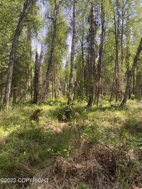 23064 W Willow Fishhook Rd, Willow, AK 99688 photo 3