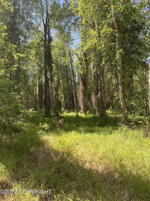 23064 W Willow Fishhook Rd, Willow, AK 99688 photo 5