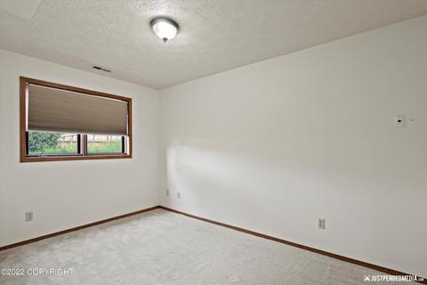 451 Eagle Ave, Palmer, AK 99645 photo 19