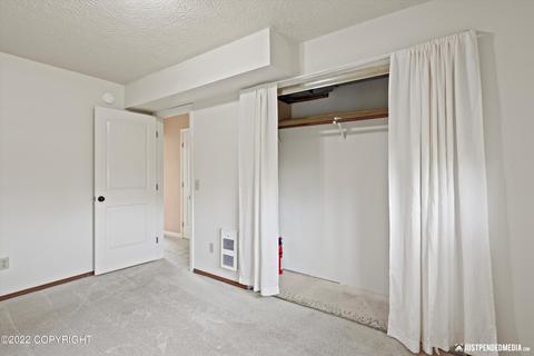 451 Eagle Ave, Palmer, AK 99645 photo 20