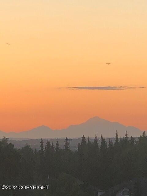 5521 E 97th Ave, Anchorage, AK 99507 photo 6