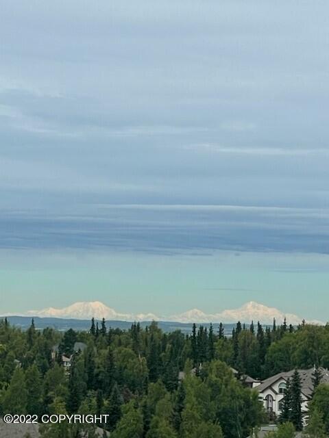 5521 E 97th Ave, Anchorage, AK 99507 photo 81