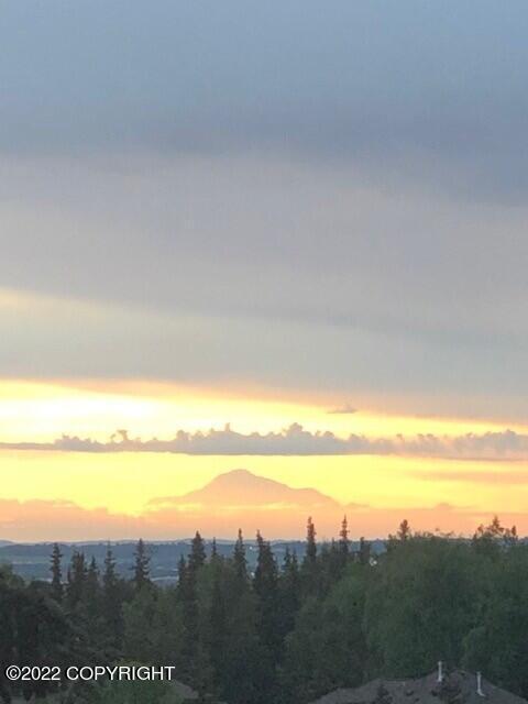 5521 E 97th Ave, Anchorage, AK 99507 photo 79