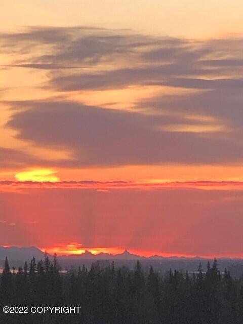 5521 E 97th Ave, Anchorage, AK 99507 photo 77