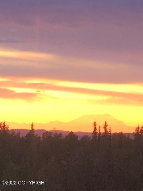 5521 E 97th Ave, Anchorage, AK 99507 photo 78