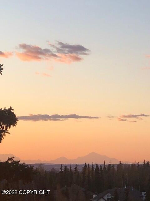 5521 E 97th Ave, Anchorage, AK 99507 photo 76