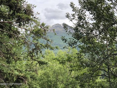 20828 Trailhead Ave # 4, Eagle River, AK 99577 photo 3