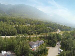 25673 Bendilent Cir, Eagle River, AK 99577 photo 60