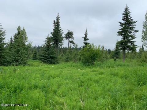 64490 Trail Rd, Anchor Point, AK 99556 photo 14
