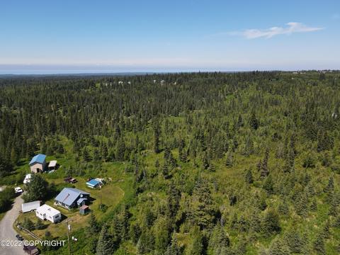 64490 Trail Rd, Anchor Point, AK 99556 photo 19
