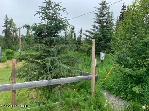 64490 Trail Rd, Anchor Point, AK 99556 photo 15