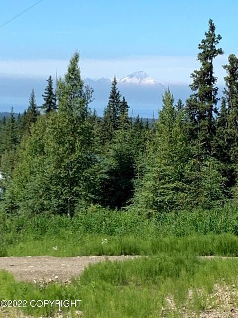 64490 Trail Rd, Anchor Point, AK 99556 photo 5
