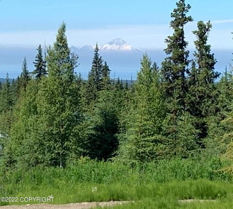 64490 Trail Rd, Anchor Point, AK 99556 photo 4