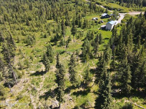 64490 Trail Rd, Anchor Point, AK 99556 photo 20