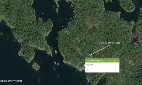 Other - lot20 Block 2, Wrangell, AK 99929 photo 2 of 45