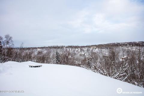 7635 Old Hillside Way, Anchorage, AK 99516 photo 44