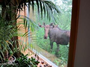 23378 Glacier View Dr, Eagle River, AK 99577 photo 7