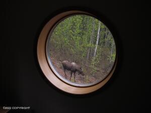 23378 Glacier View Dr, Eagle River, AK 99577 photo 25