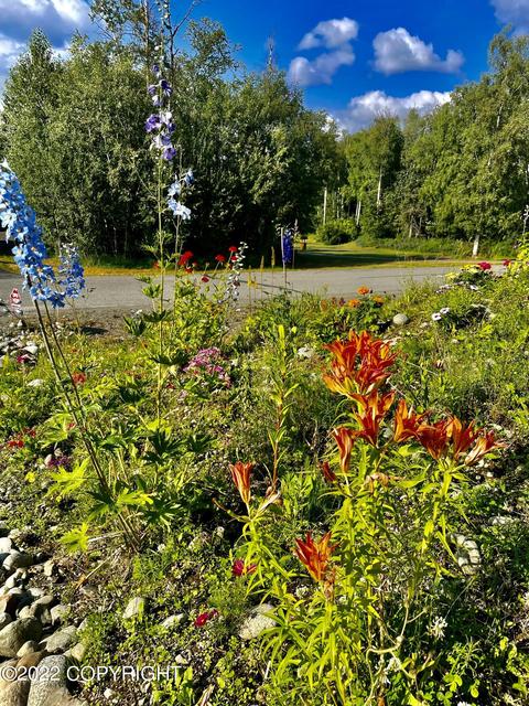 3528 W Discovery Loop, Wasilla, AK 99654 photo 52