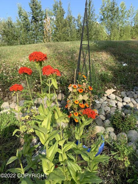 3528 W Discovery Loop, Wasilla, AK 99654 photo 49