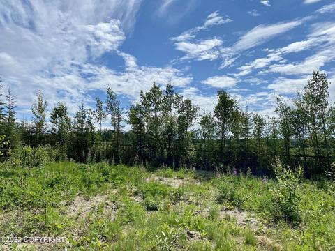 37925 Eagle Ave, Sterling, AK 99672 photo 22
