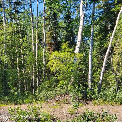 Mile 91.5 Richardson Highway, Copper Center, AK 99573