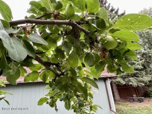 4301 E 8th Ave, Anchorage, AK 99508 photo 47
