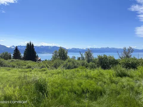 53147 Brauchli Ave, Homer, AK 99603