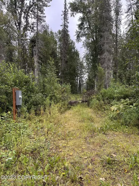 38131 S Kalispell Dr, Talkeetna, AK 99676