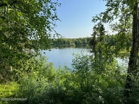 13885 N Willow Lake Rd, Willow, AK 99688