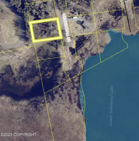 lot20 Mendenhall Dr, Nikiskinorth Kenai, AK 99635