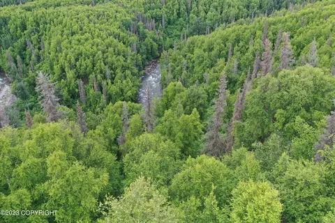 15821 W Willow Fishhook Rd, Willow, AK 99688 photo 4