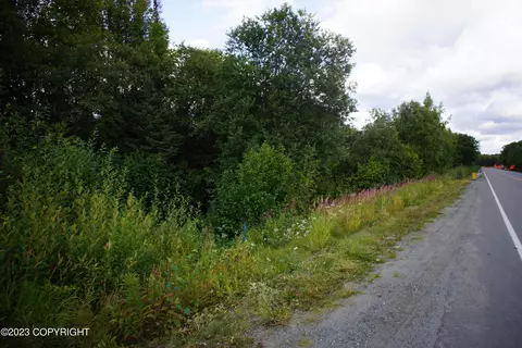 15821 W Willow Fishhook Rd, Willow, AK 99688