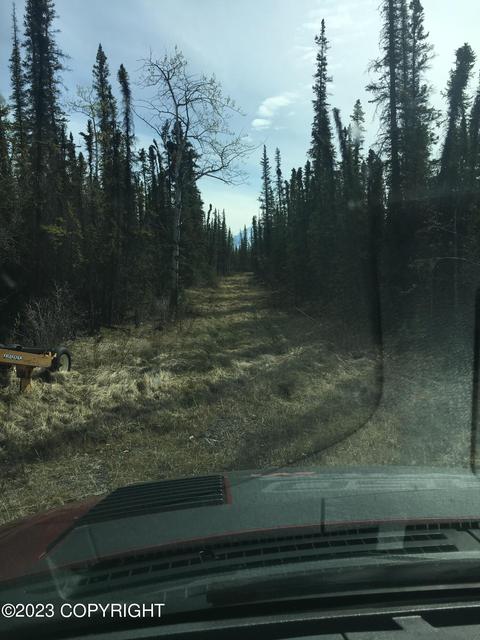 Mi 115.5 Richardson Highway, Glennallen, AK 99588