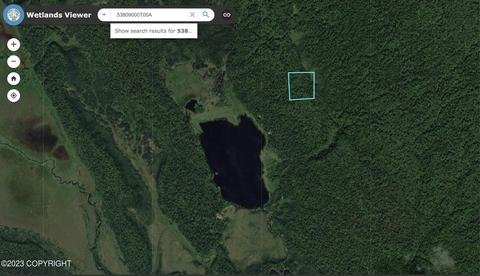 Tr A No Road, Remote, AK 99667 photo 5