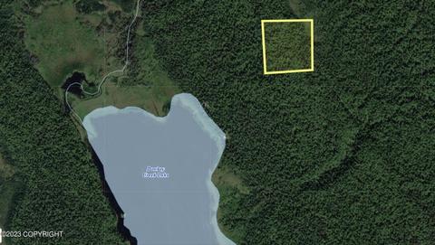 Tr A No Road, Remote, AK 99667